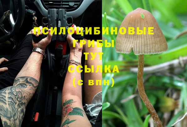 спайс Алексеевка