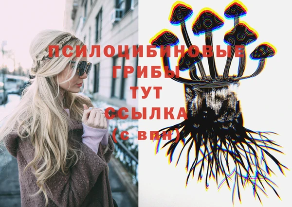 герыч Алзамай